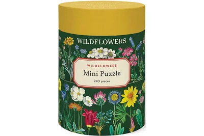 Wildflowers