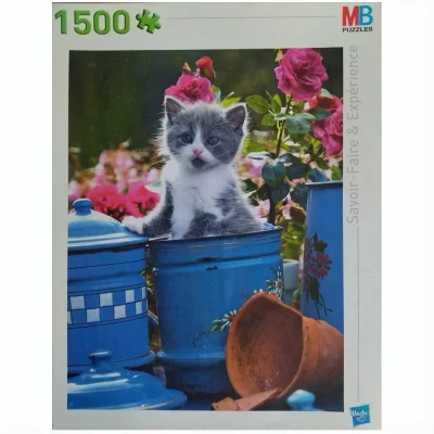 Chaton dans les pots