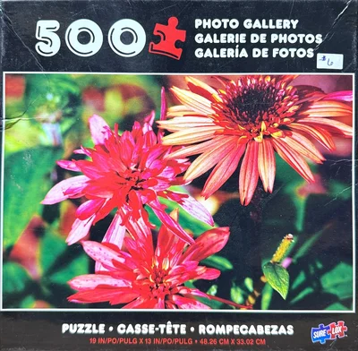 Echinacea