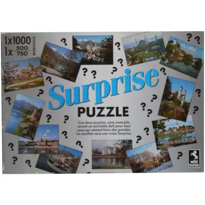 Surprise Puzzle