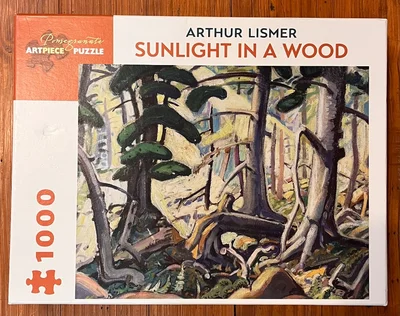 Sunlight in a Wood