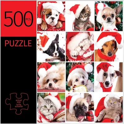 Holiday Pets