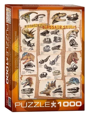 Dinosaur Skulls