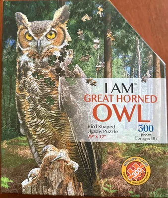 I am Great Horned Owl