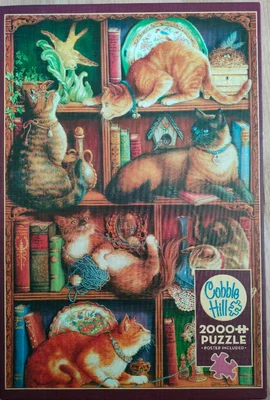 Feline Bookcase