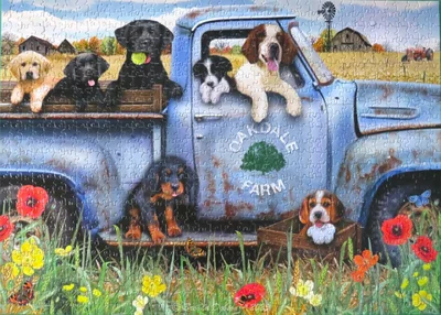 Dog Day Afternoon