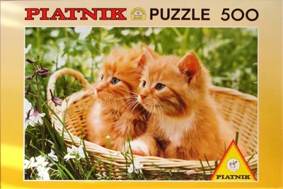 [Two Kittens in Basket]