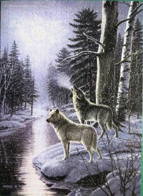 Wolves By Moonlight