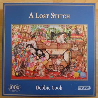 A Lost Stitch