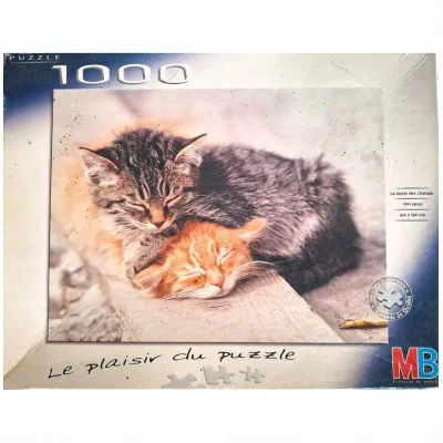 La sieste des chatons