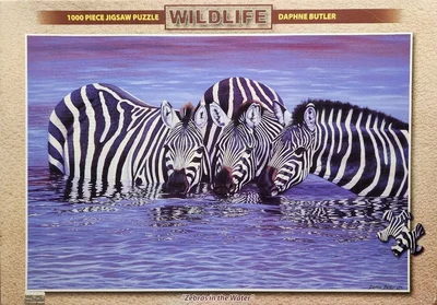 Zebras in the Water