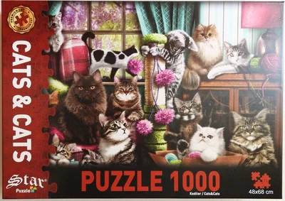 Cats & Cats