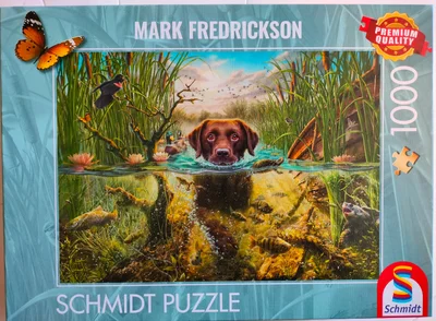 Amazing dogs - a chocolate Labrador takes a cool dip