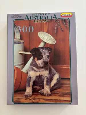 Australian Cattle Dog Puppy