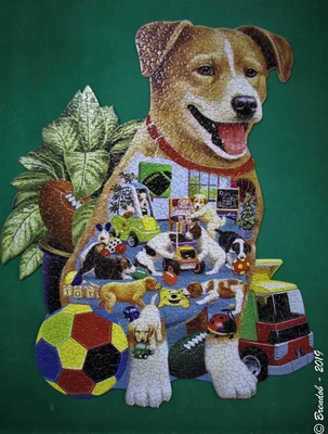 Puppy Preschool