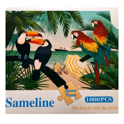 The beach with the birds