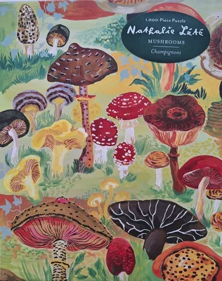 Mushrooms Champigions