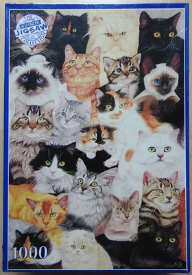 Cats, Cats and More Cats