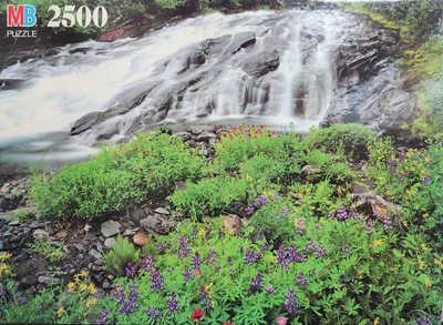 Mt. Rainier National Park, WA