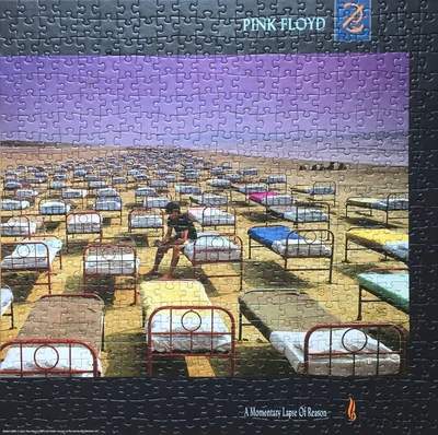 Pink Floyd A Momentary Lapse Of Reason