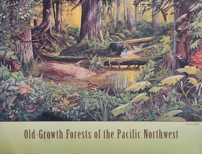 Old-Growth Forests of the Pacific Northwest