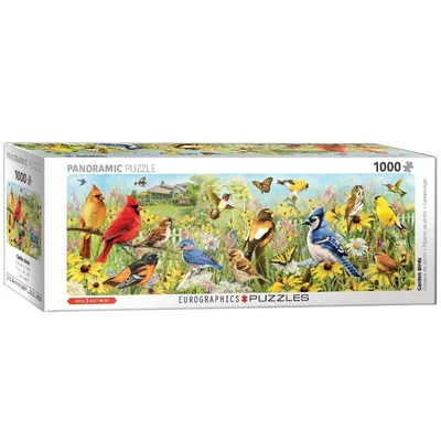Garden Birds