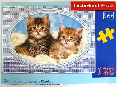 Kittens Curling up on a Blanket