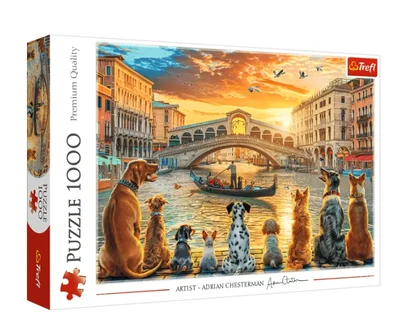 Les chiens à Venise