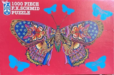 Metamorphosis Butterfly