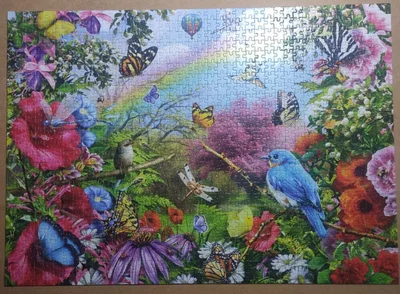 Rainbow birds