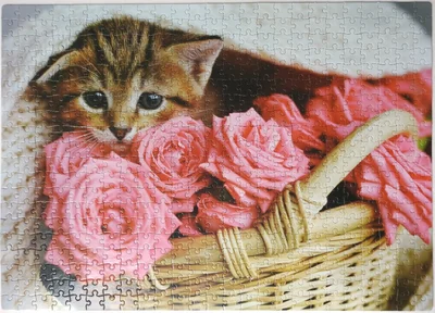 Kitten in a Basket with Roses