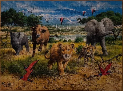 African Animal Babies