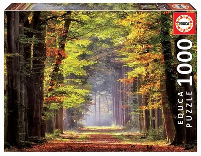 Fall Walkway