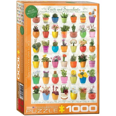 Cacti & Succulents