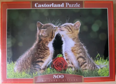 Two Tabby Kittens