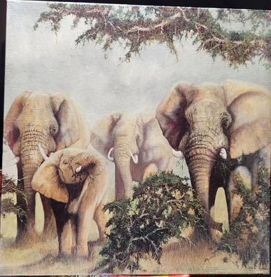 The African Elephant