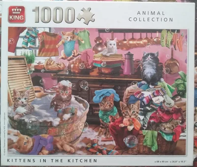 Kittens in the Kitchen