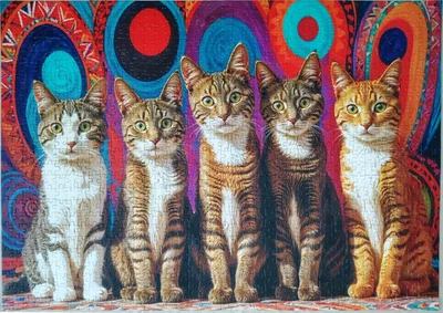 Five Cats