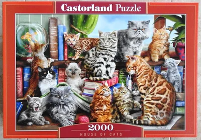 House of Cats
