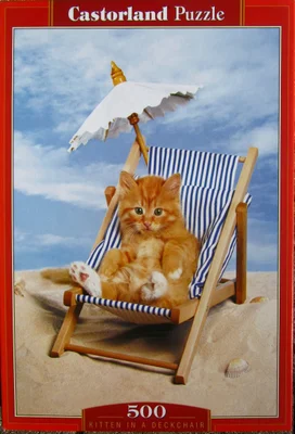 Kitten in a Deckchair