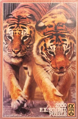 Bengal Tigers