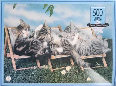 Deck Chair Kittens