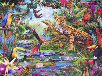 Leopard Jungle