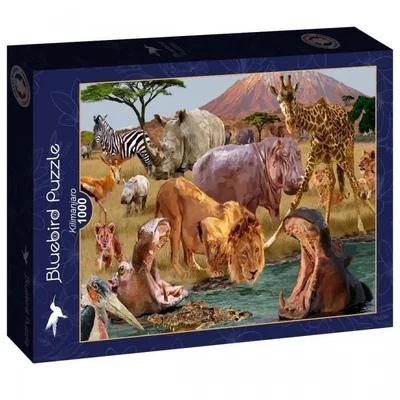 Kilimanjaro