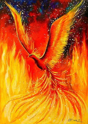 Phoenix Bird