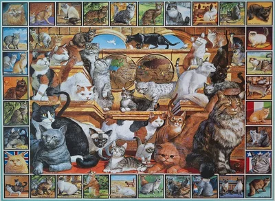 The World of Cats