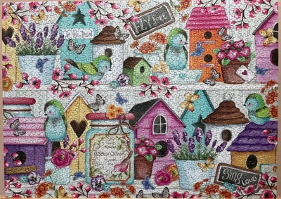 Birdhouse Birdies