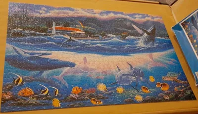 Fonds marins