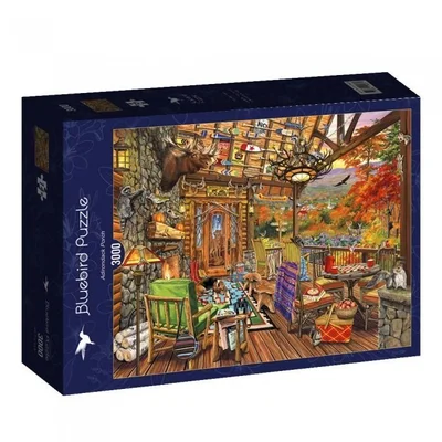 Adirondack Porch