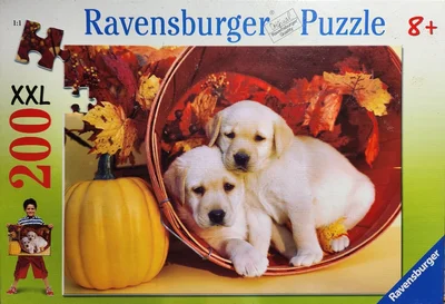 Puppies in Autumn